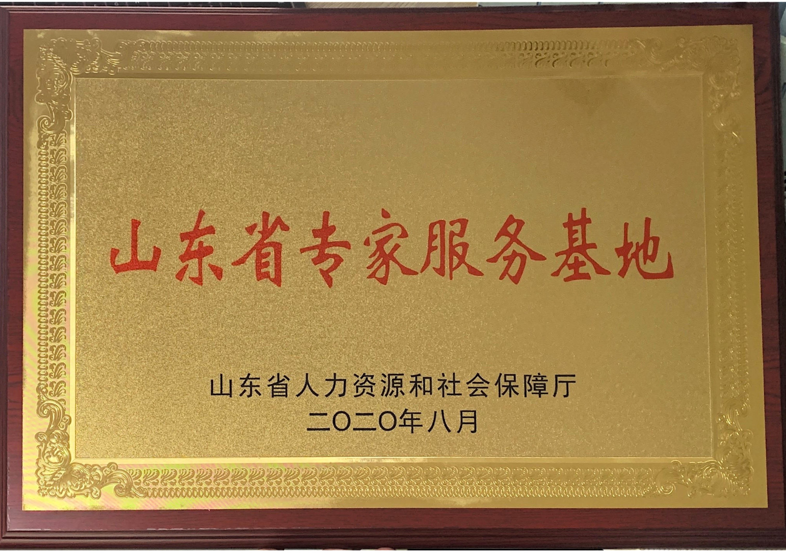山東省智能制造標桿企業(yè) 山東省智能制造標桿企業(yè)